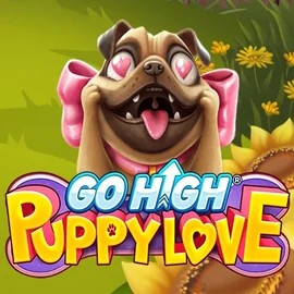 Play Go High Puppy Love slot by RubyPlay on spinsitt.com